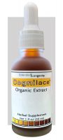 Cognilace™ - 1 fl oz