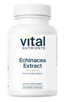 Echinacea Extract 1000 mg - 60 Vegan Capsules