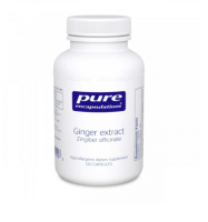 Ginger Extract 120's