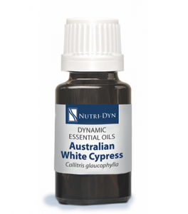 Dynamic Essentials Australian White Cypress