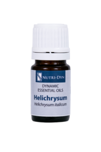 Dynamic Essentials Helichrysum italicum