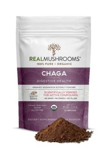 Organic Siberian Chaga Extract Powder – Bulk 60g Supplement